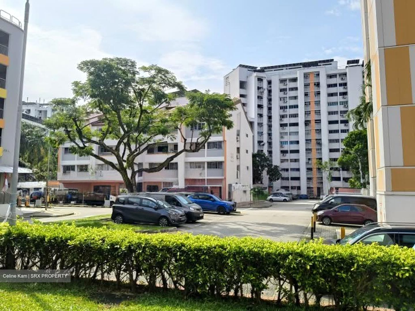 Hougang Avenue 1 (D19), Shop House #584784211